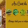Infusion au coin du feu