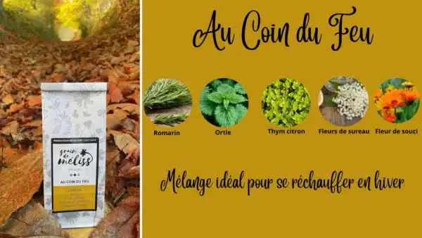 Infusion au coin du feu