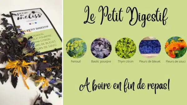 Infusion Le Petit Digestif