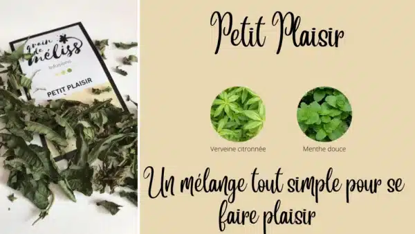 Infusion Petit Plaisir