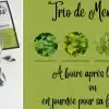 Infusion trio de menthe