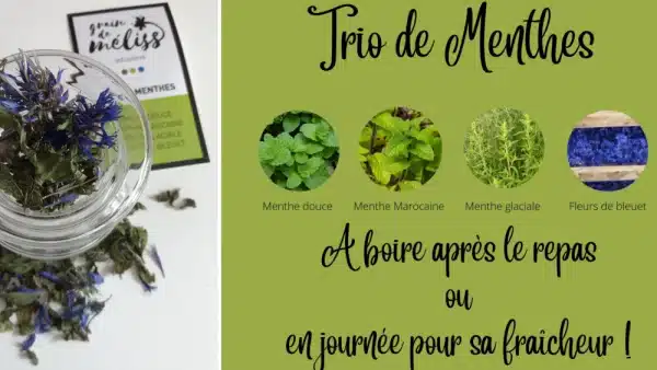 Infusion trio de menthe