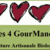 Confiture de myrtilles – Image 2