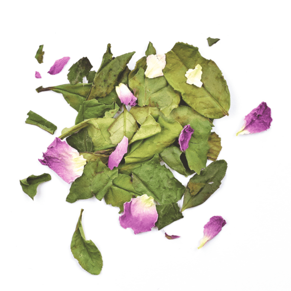 Thé blanc reine de Damas