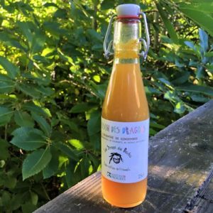 Boissons des dragons